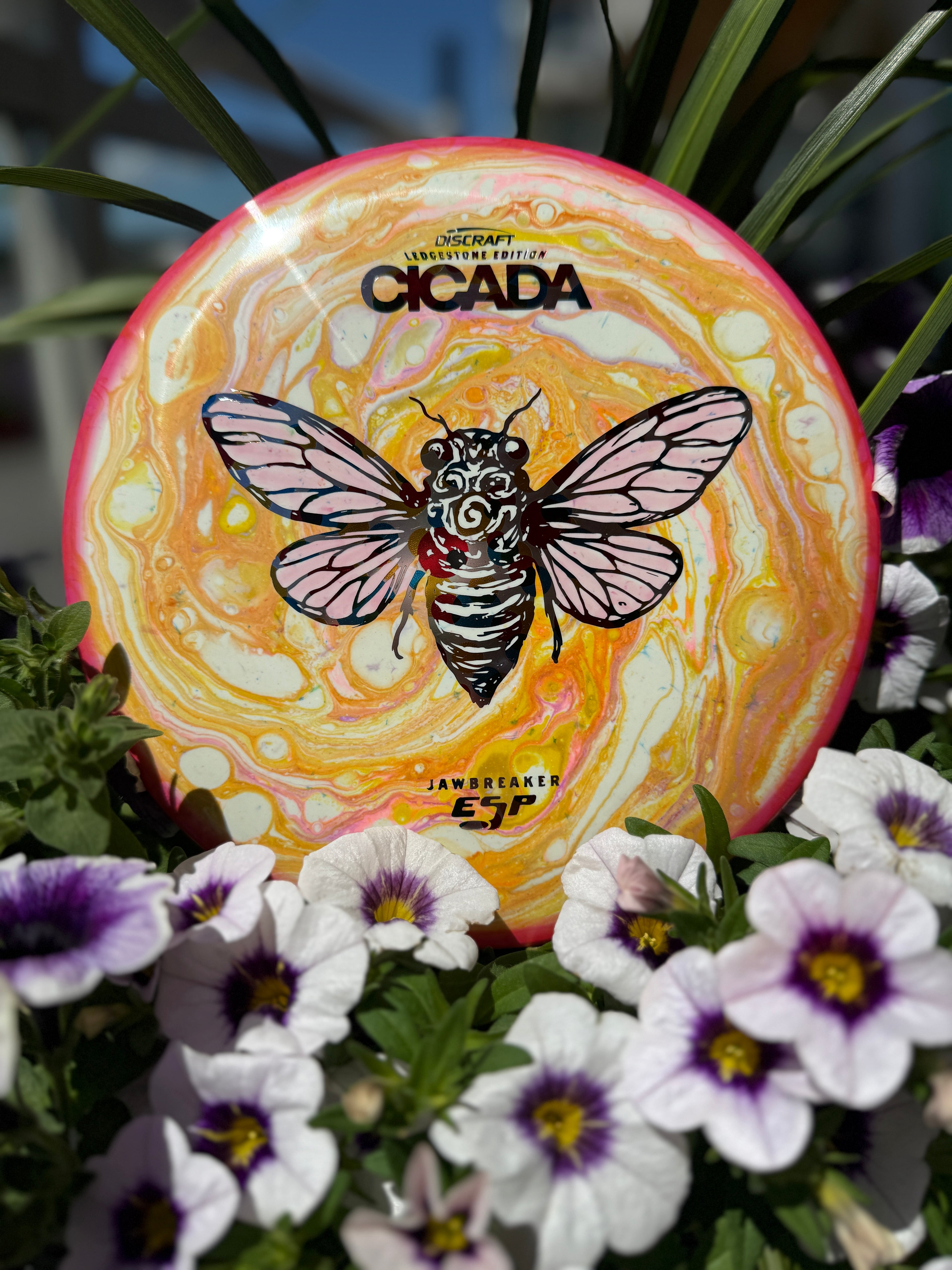 Discraft Cicada Jawbreaker ESP - 176 g